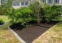 Mulching 3